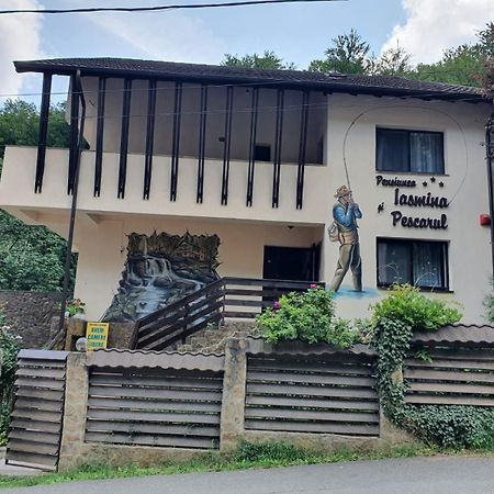 Pensiunea Iasmina Si Pescarul Călimăneşti Екстериор снимка