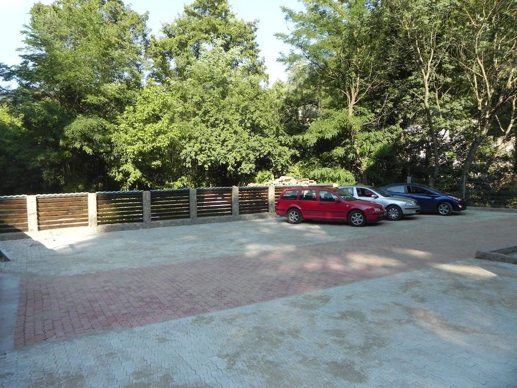 Pensiunea Iasmina Si Pescarul Călimăneşti Екстериор снимка